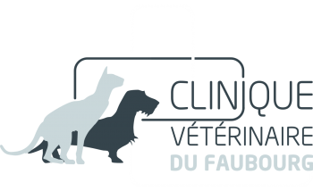 Clinique vétérinaire du Faubourg